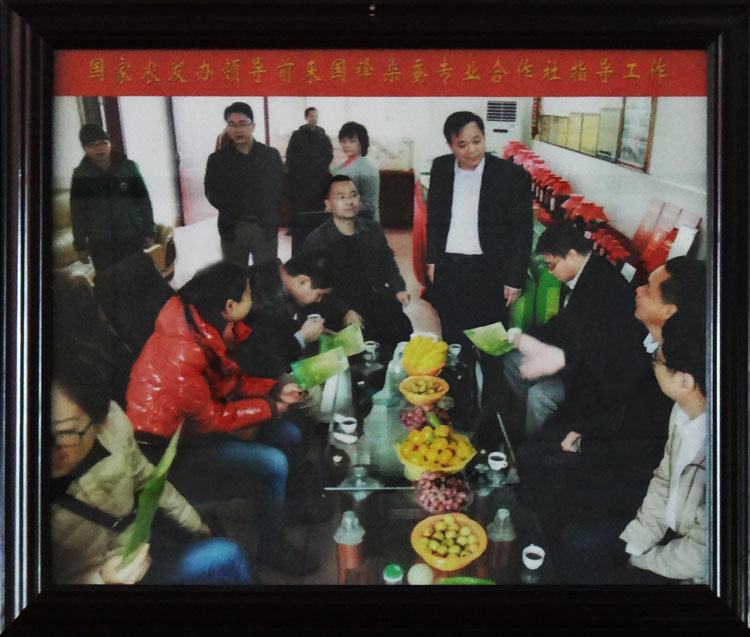 國家農發(fā)辦領導前來國鋒桑蠶專業(yè)合作社指導工作