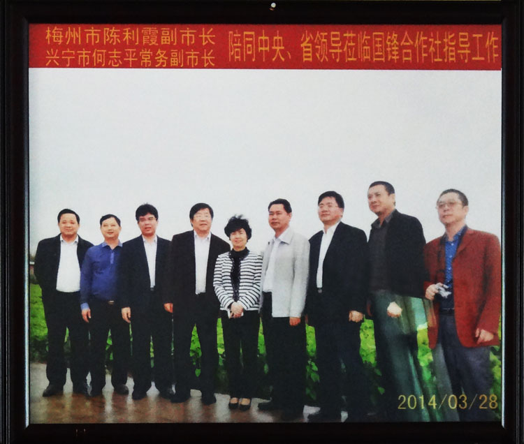 梅州市陳利霞副市長(zhǎng) 興寧市何志平常務(wù)副市長(zhǎng)陪同中央、省領(lǐng)導(dǎo)蒞臨國(guó)鋒合作社指導(dǎo)工作